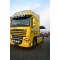 Bullbar/Bara Proiectoare Inox Grila Partea Inferioara Daf XF 105