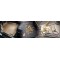 Covorase Interior Man TGS Covorase Interior Man TGS