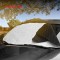 Parasolar Protectie Parbriz VOLKSWAGEN GOLF V 2003-2009 antiinghet iarna si de vara cu functie parasolar, all season